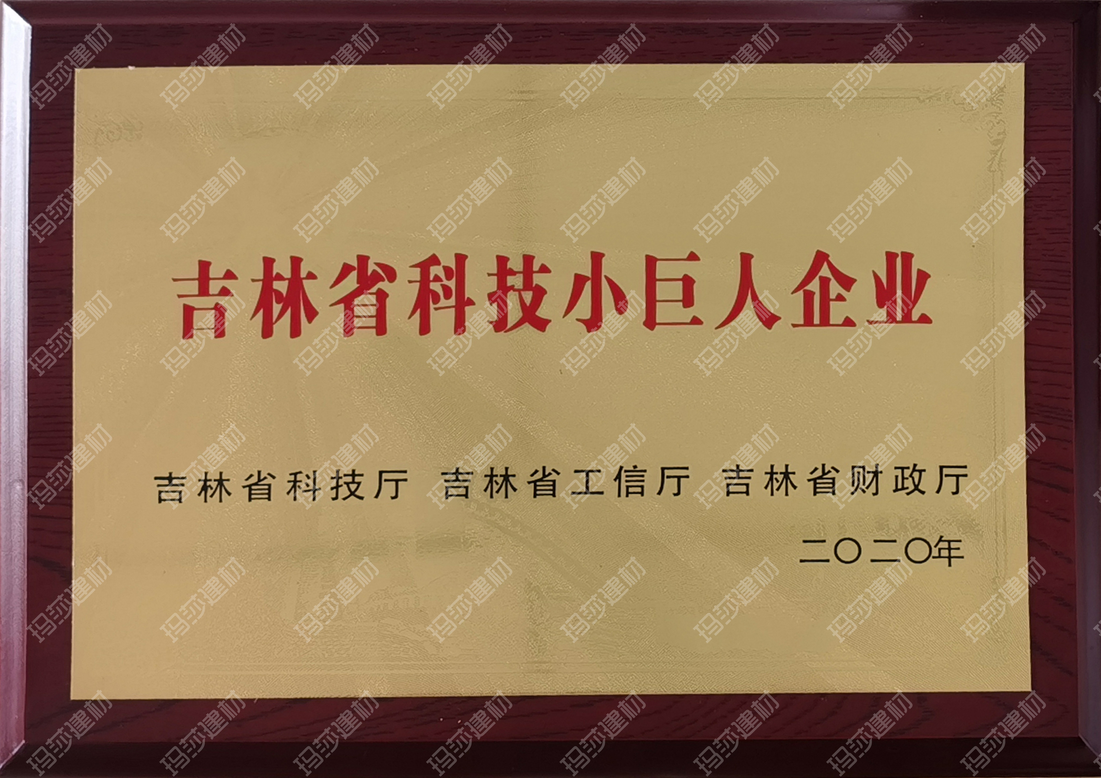 科技小巨人企業(yè)